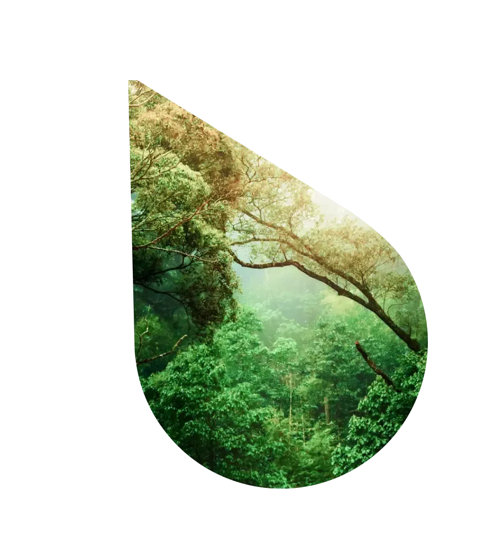 Environment